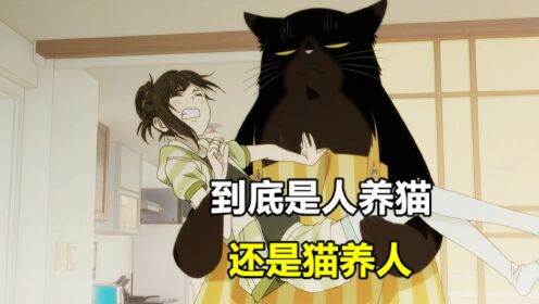 七月新番：到底是人养猫，还是猫养人？_高清1080P在线观看平台_腾讯视频