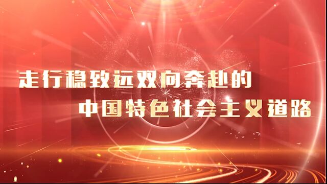 走行稳致远双向奔赴的中国特色社会主义道路