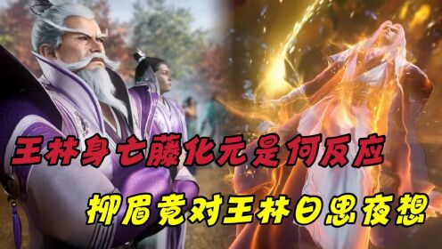 【仙逆—原著解读】:王林身亡后藤化元是何反应?赵国修真界又是什么反应?柳眉竟对王林日思夜想!_高清1080P在线观看平台_腾讯视频