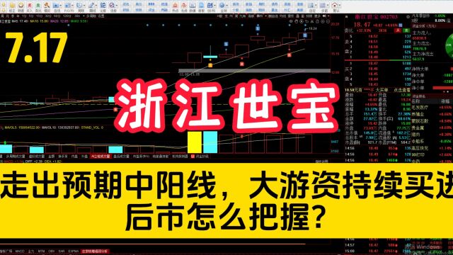 浙江世宝:走出预期中阳线!主力资金反复做T,后市怎么看?