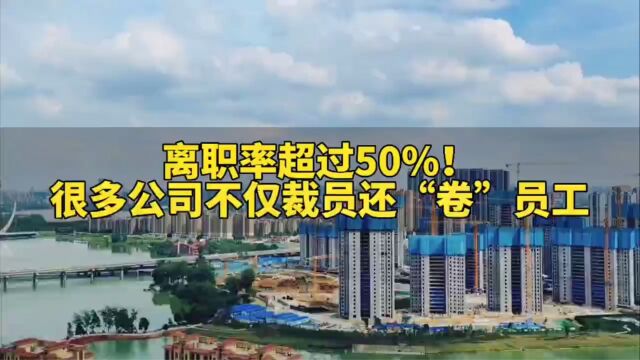 离职率超过50%!很多公司不仅裁员还“卷”员工!