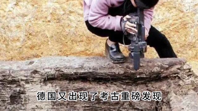 德国发现3000年前青铜剑!出土时“还在发光”