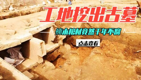 工地发现古墓,考古队用挖机抢救性发掘,挖出金丝楠木棺材_高清1080P在线观看平台_腾讯视频