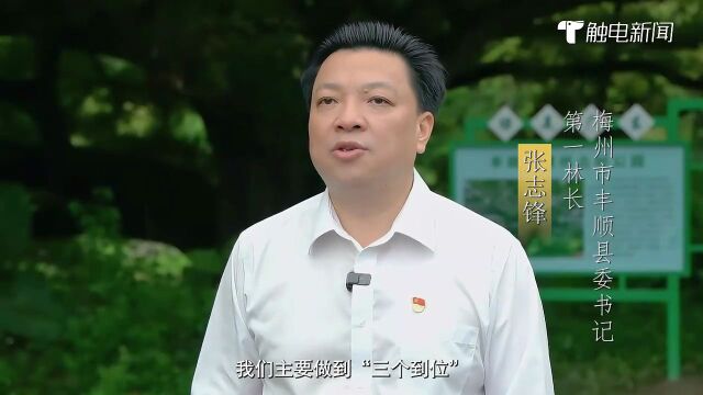 【县区林长话“绿美”】快来为绿美丰顺打call!