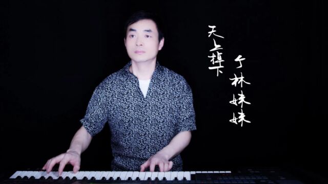 《天上掉下个林妹妹》双排键演奏版