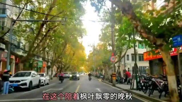 京山的城市建设,知道是哪条路吗?有点大都市的味道!