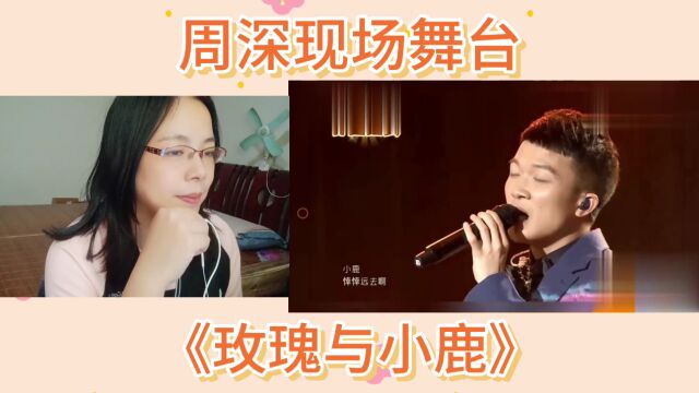 周深现场舞台《玫瑰与小鹿》reaction