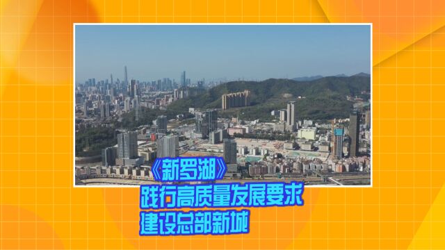 《新罗湖》践行高质量发展要求 建设总部新城