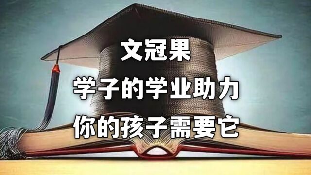 文冠果:学子的学业助力,你的孩子需要它!