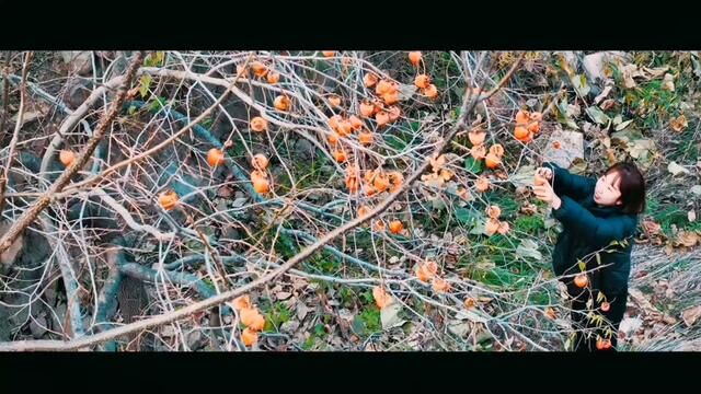 神奇的大自然,一起来拍乡野田间自然风光#风景这边独好 #丰收的喜悦 #山间美景 #原创视频 #每一帧都是热爱