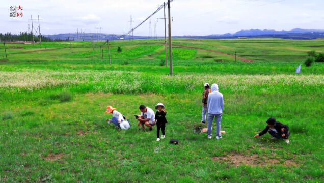 八九月份北方的土地上,经过雨水的滋养,就会生出地皮菜,摘摘面…有吃过的嘛?