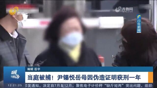 当庭逮捕!韩总统尹锡悦岳母因伪造银行存款证明获刑一年