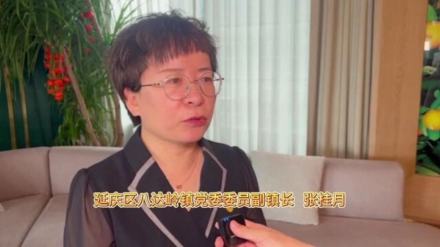 “雨”你有情!延庆区八达岭镇43户89名群众紧急转移至安置点