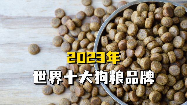 不看必后悔系列:世界十款大狗粮品牌推荐!