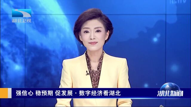 武汉超算智算“双中心”:像买水电气一样购买算力