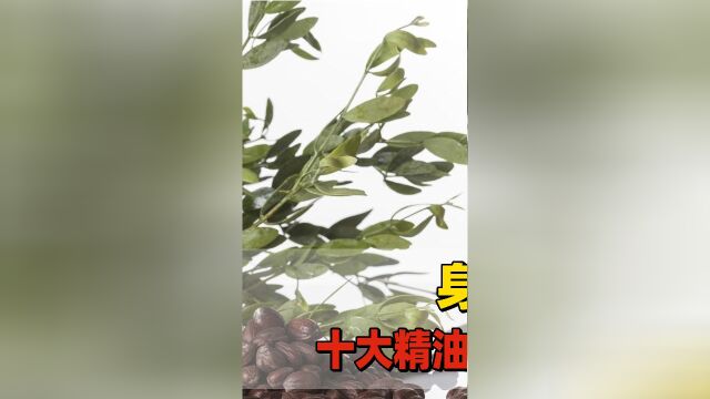 悟薏滴莎兰德芳香生活指南,身体保养的,十大精油产品第一节