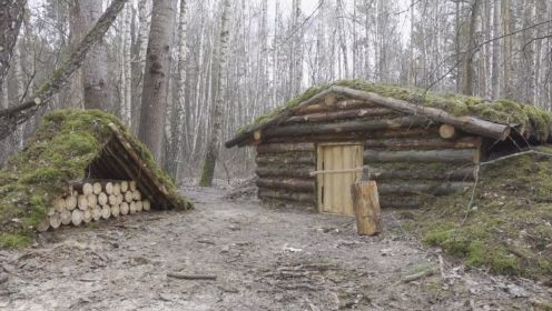 独自在黑暗的森林里，建造一座丛林生存木屋