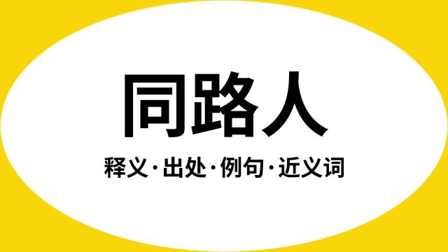 “同路人”是什么意思?