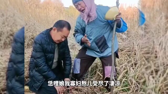 河南坠子《报母恩》