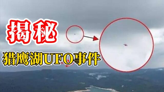 猎鹰湖UFO事件,男子触摸UFO后,身上留下神秘烙印