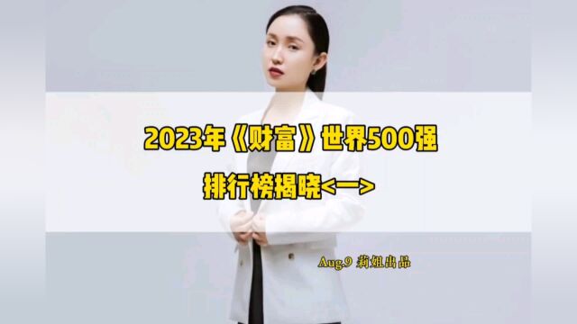 2023年财富世界500强排行榜揭晓第一集