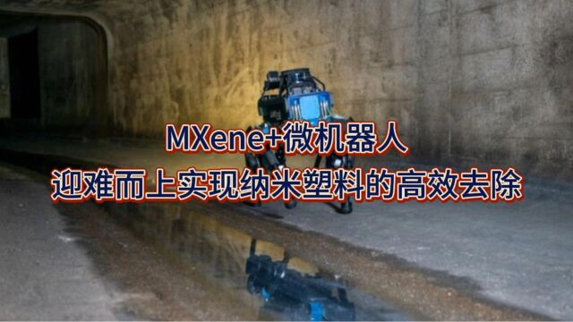 MXene+微机器人,迎难而上实现纳米塑料的高效去除