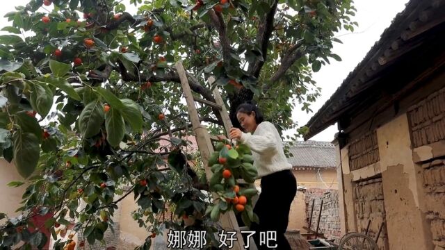 秋天的小院,黄澄澄的柿子挂满枝头!烙点柿子饼,一口咬下去,满满的馅儿溢出