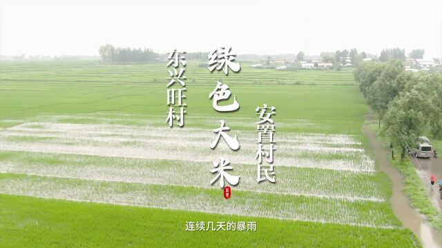 东兴旺村,暴雨导致部分村子水位偏高,村书记安置村民,.