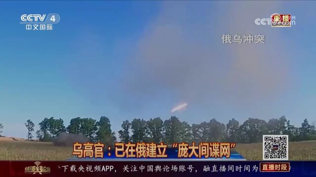 乌高官:已在俄建立“庞大间谍网”