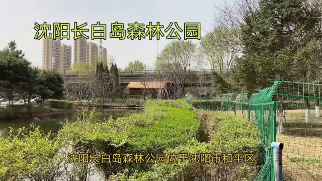 沈阳长白岛森林公园