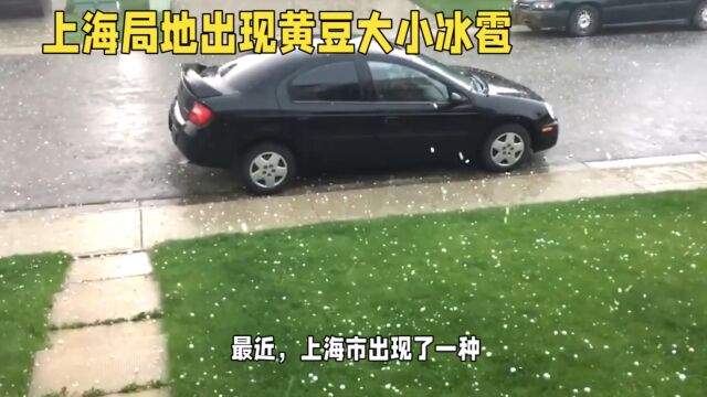 上海局地出现黄豆大小冰雪