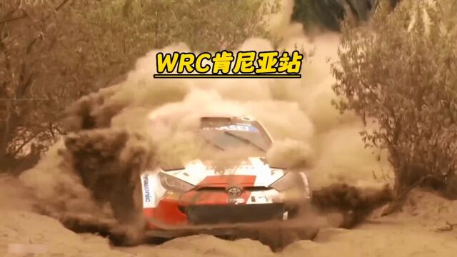 WRC肯尼亚站落下帷幕,丰田车队包揽前四