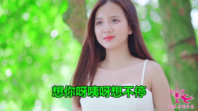 2022抖音热歌《旧梦》原唱完整版,美妙的旋律,好听至极