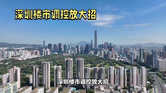 深圳楼市调控放大招