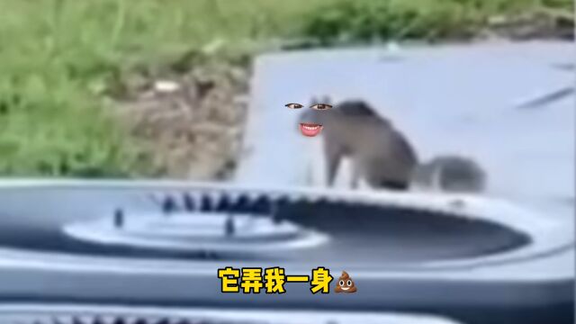 落坨翔子