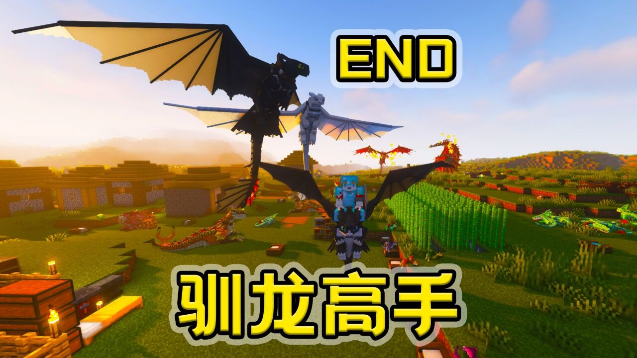 看末影龙!别看我! 我的世界 驯龙高手 end