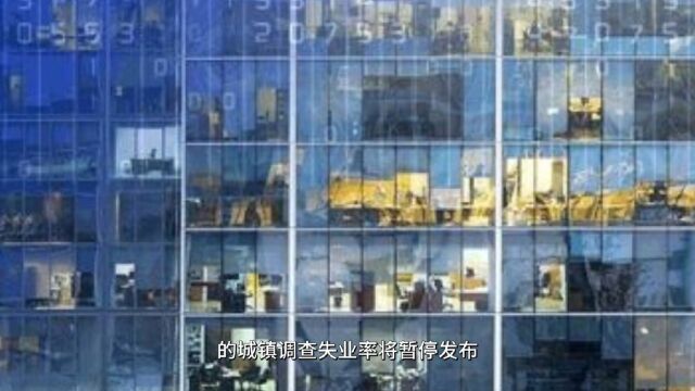 国家统计局停止发布青年失业率数据:数据真实才能助力就业扶持