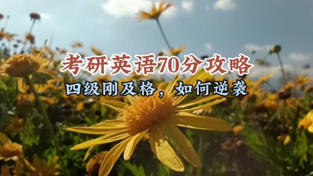 考研英语70分攻略,四级刚及格,如何逆袭?