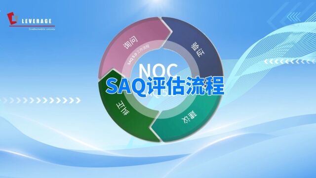 各大汽车品牌信任SAQ评估问卷,SAQ评估流程详解