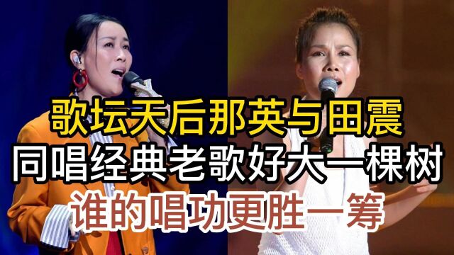 田震与实力歌手那英,同唱一首经典歌曲,开唱就听出明显区别