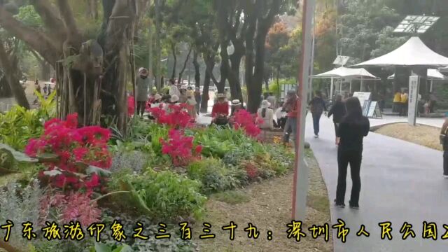 广东旅游印象之三百三十九:深圳市人民公园2