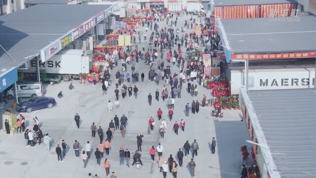 华中地区超级“菜篮子”在湖北孝感投运