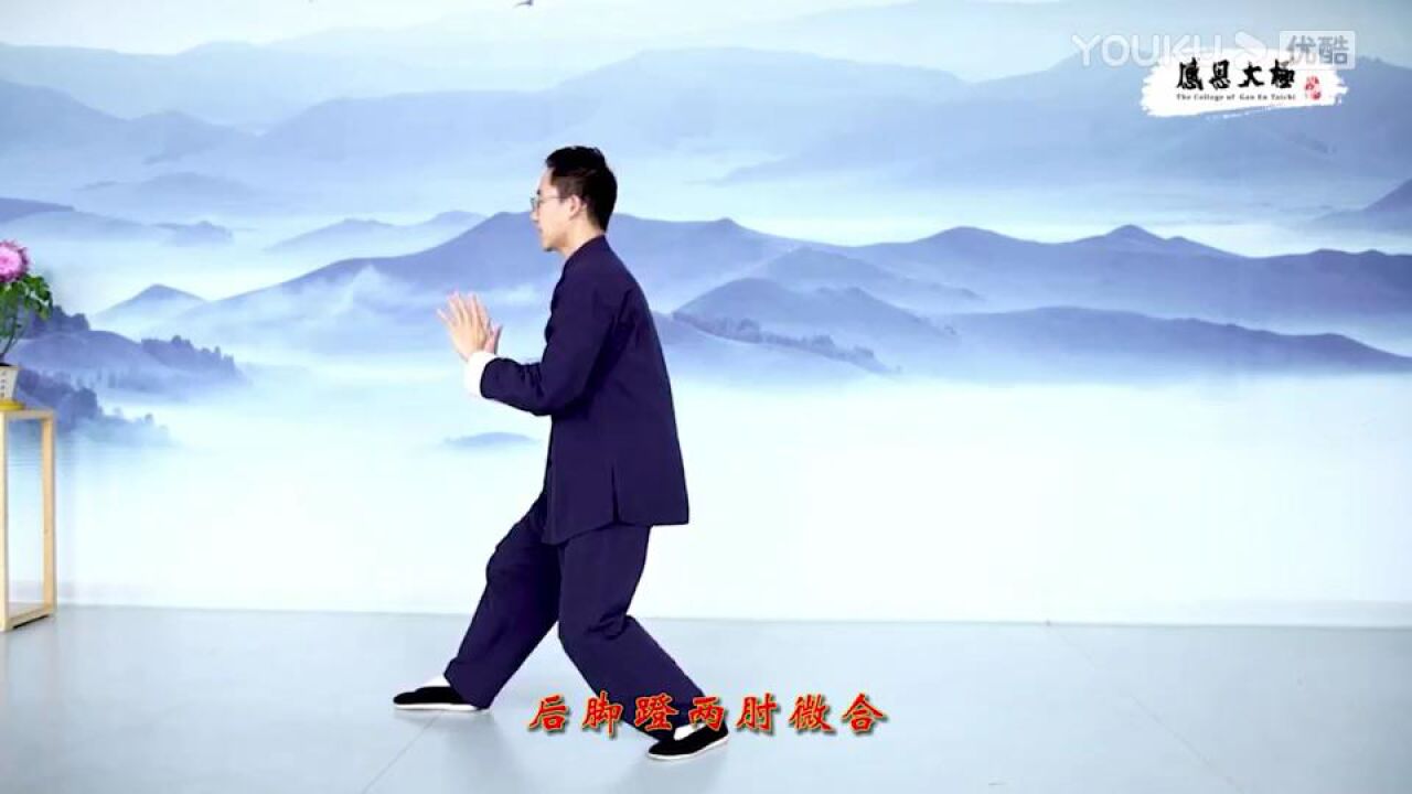 传统杨氏太极拳85式分式讲解（全套动作）_高清