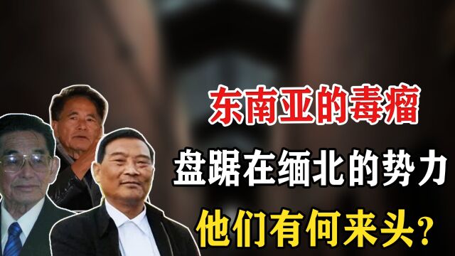 缅甸地下世界的掌控者,如今盘踞在缅北的那些神秘家族 有何来头?