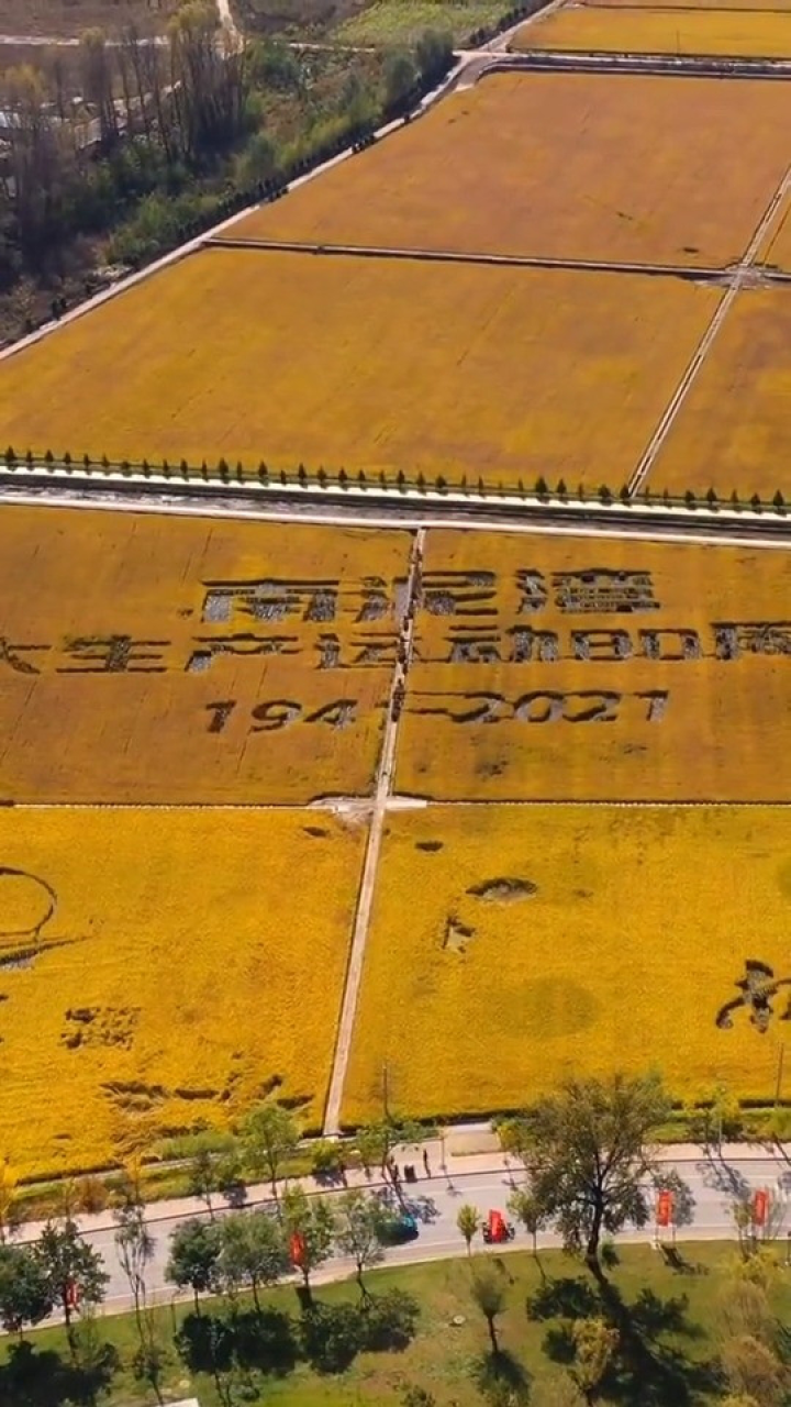 辽阳小程序开发多少钱_辽阳小程序开发多少钱_辽阳小程序开发多少钱