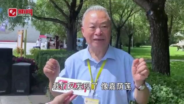 来“中国第一龙乡” 感受不一样的恐龙文化