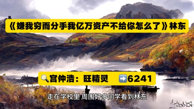 《被离婚后 我遇到了真命天女》林子阳黄晓莉◇全文阅读无删减