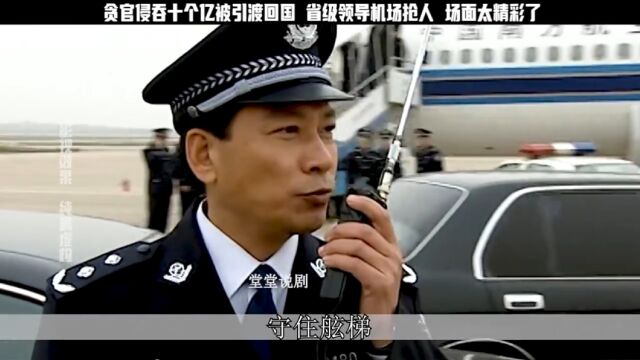 贪官侵吞十个亿被引渡回国 省级领导机场抢人