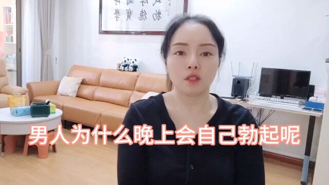 男人为什么晚上会自己勃起呢