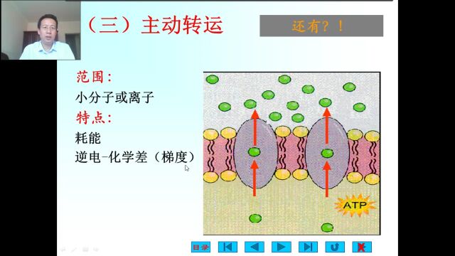 2细胞4物质转运4